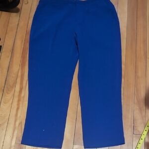 Banana Republic Vibrant Blue Lightweight Pants 26"inseam Size 12